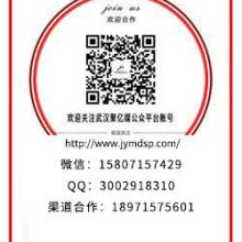 重慶神馬搜索競價推廣 技術(shù)推廣服務(wù)的創(chuàng)新實踐與優(yōu)化策略