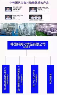 愛茉莉太平洋化妝品技術(shù)配方在中國OEM加工廠的應(yīng)用與技術(shù)推廣服務(wù)解析